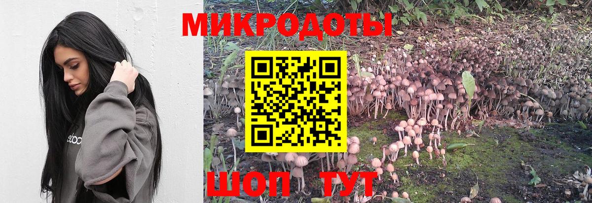 Галлюциногенные грибы GOLDEN TEACHER  Вход с VPN  Каменск-Шахтинский  Галлюциногенные грибы ЛСД 