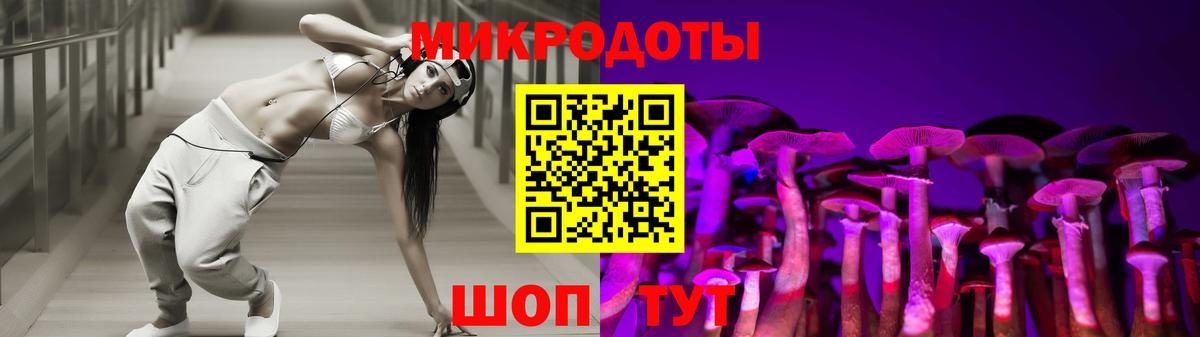 Галлюциногенные грибы Psilocybe Каменск-Шахтинский
